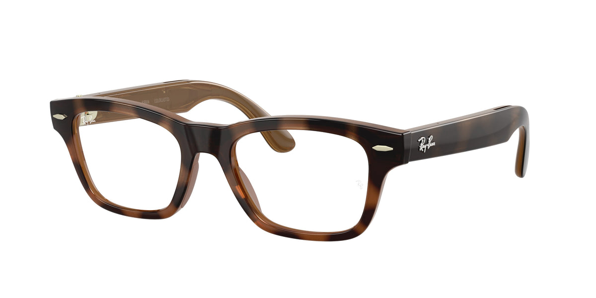 Ray-Ban Meta Audio Burbank — Havana · Transitions® Klar zu Braun